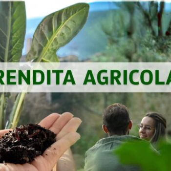 Rendita Agricola – Ecosystem BSC